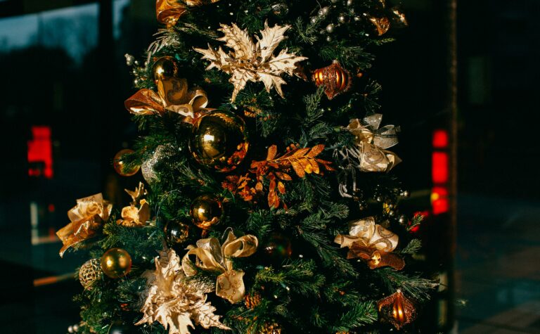 安城　パーソナルジム